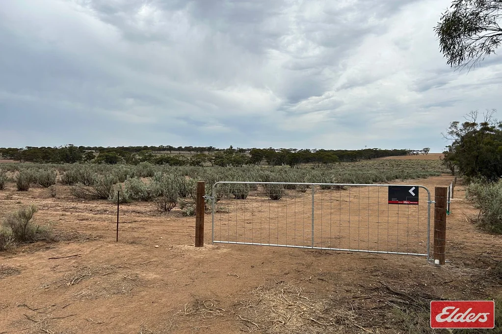 Sutherlands 17.09 ACRES (6.92 HECTARES) IN SUTHERLANDS TOWNSHIP