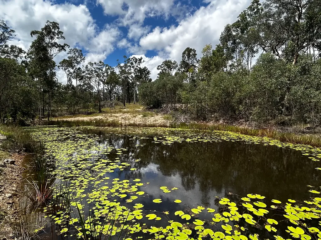 241 Bruxner Road, Drake, NSW 2469