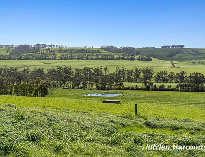 Part/880 Timboon - Colac Road, Simpson, VIC 3266, 0房, 0浴, 乡村住宅