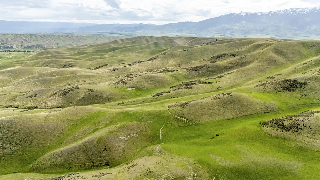 Omakau Low Intensity Winter Grazing