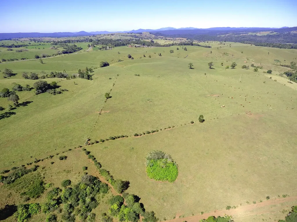 Millaa Millaa  ROLLING GREEN HILLS