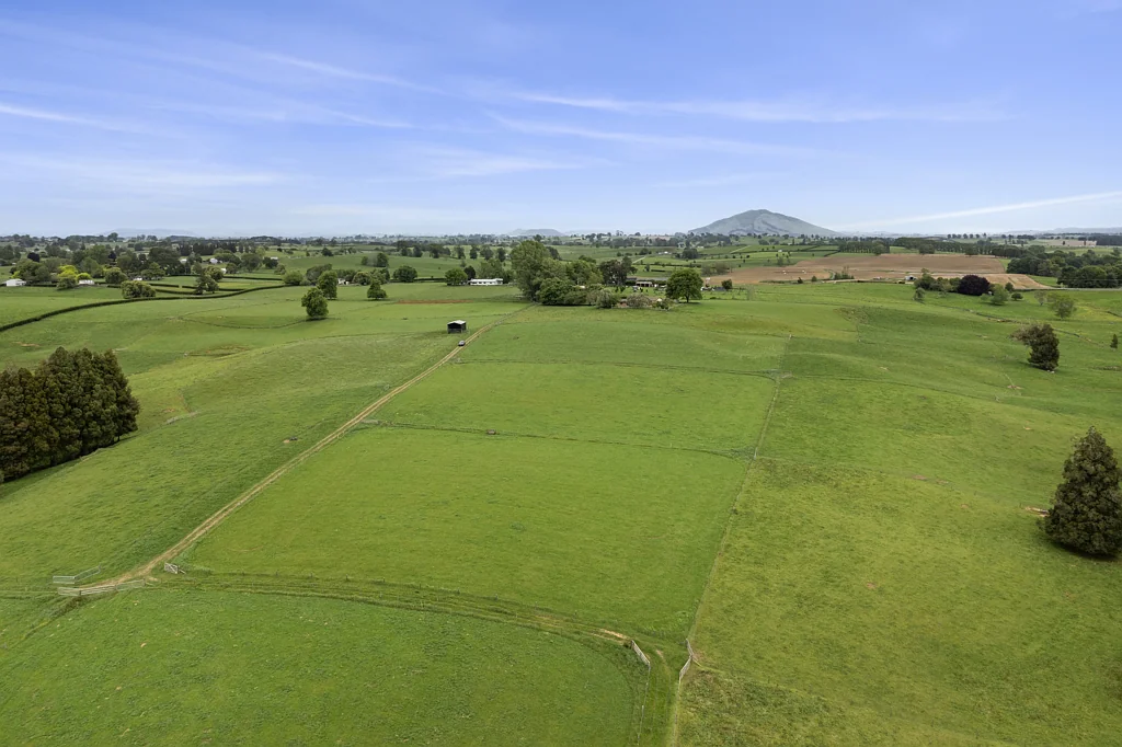 Ohaupo Versatile 38.64ha Lifestyle & Support Farm