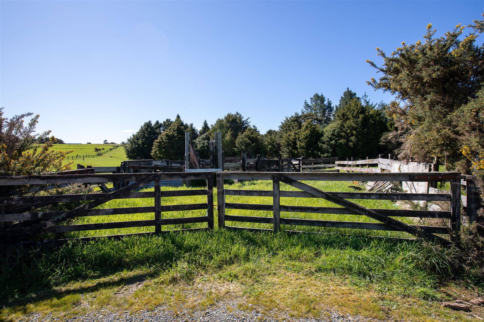 Millbrook Road, Waipu, Whangarei, 0房, 1浴