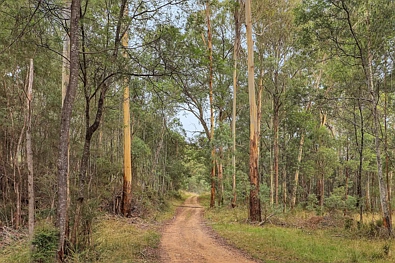 Kevington Bush Block Opposite the Goulburn River
