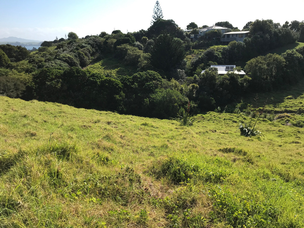 Hauraki Gulf Islands