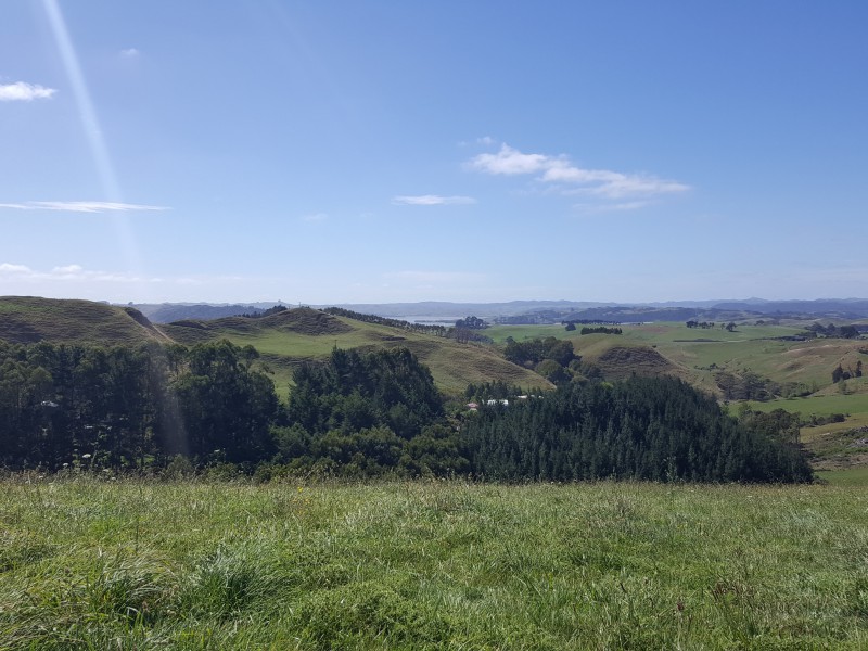 Maungatawhiri Road, Raglan, Waikato, 0 कमरे, 1 बाथरूम