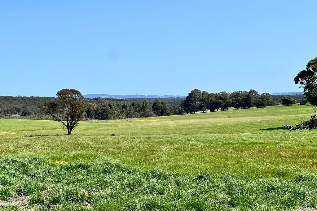 Albany Elevated 1-Hectare Lots. Country Living with Great Views