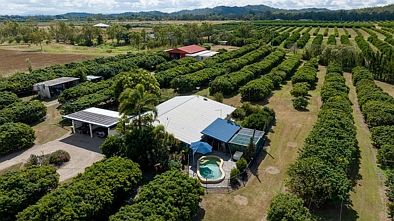 209 MALONE RD, MAREEBA QLD 4880, 0 રૂમ, 0 બાથરૂમ, Lifestyle Property
