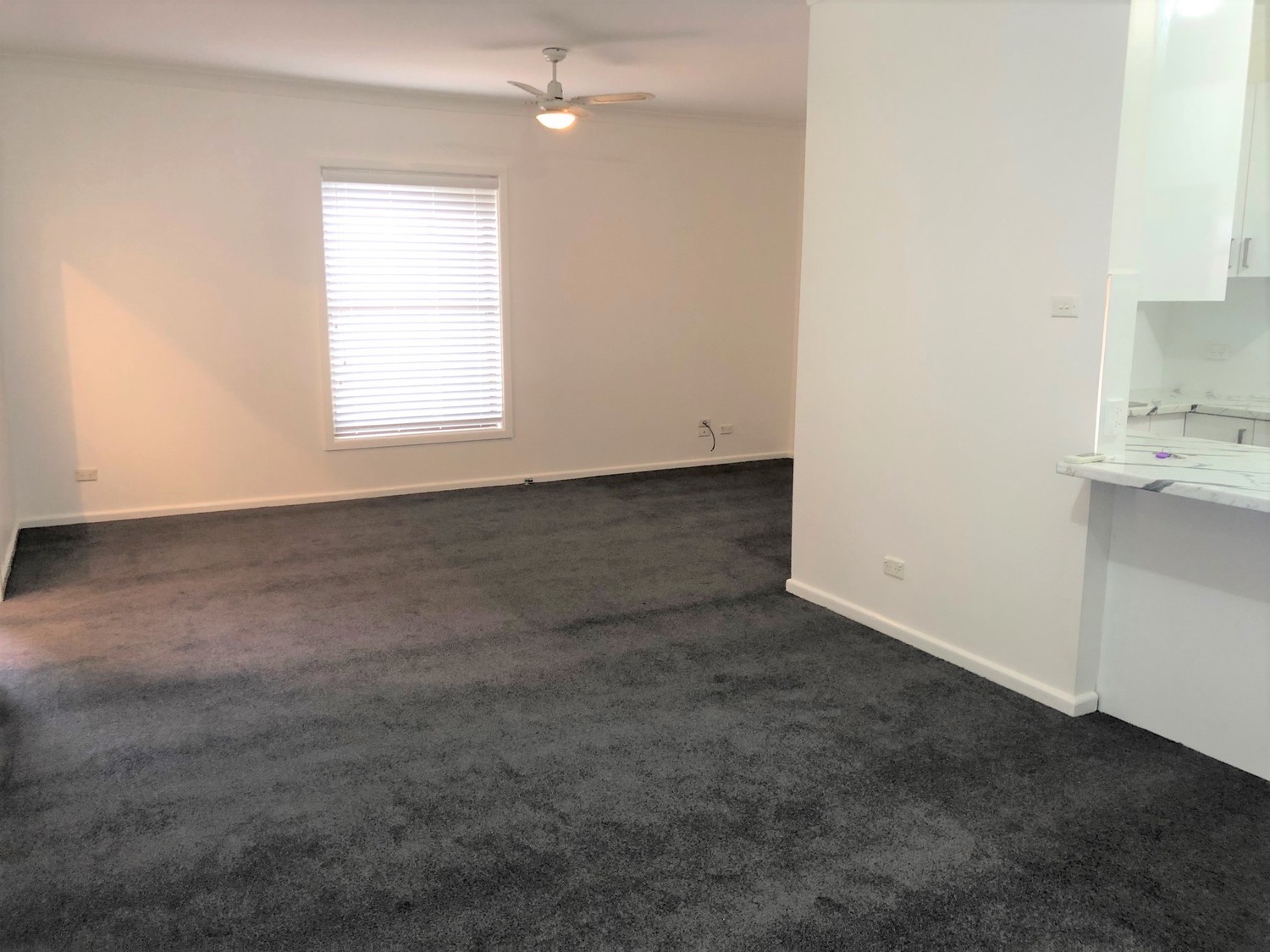 64 PICNIC POINT RD, PANANIA NSW 2213, 0房, 0浴, House