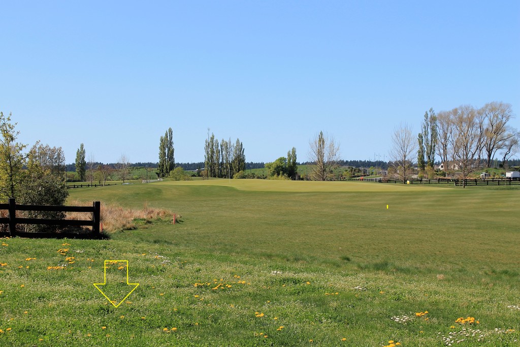 Rural Pegasus