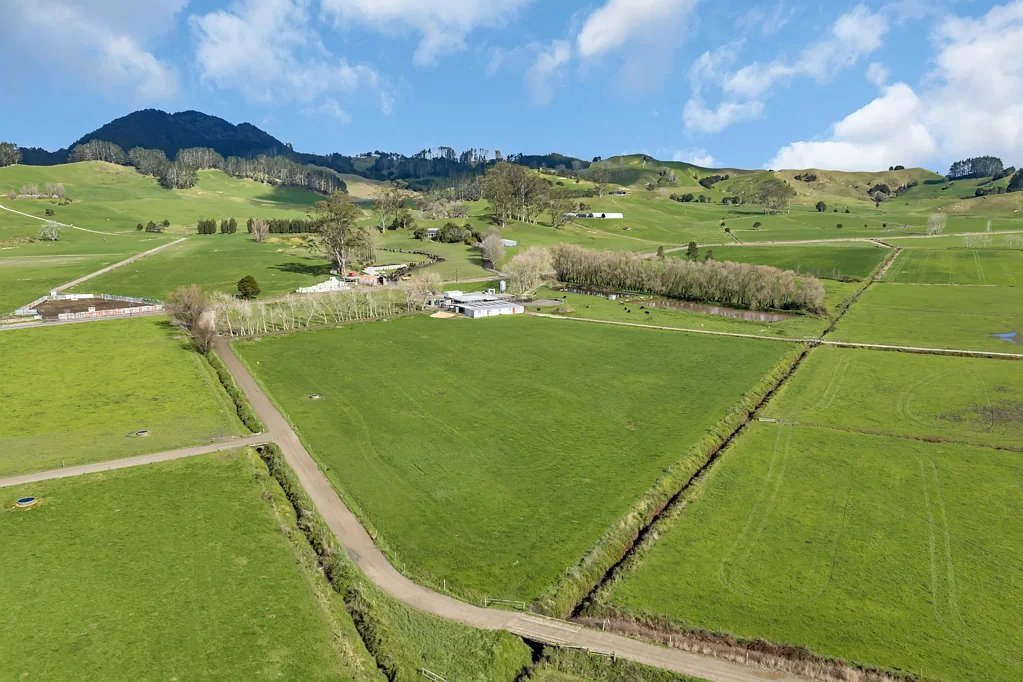 Ruatangata  Great Farm in Strong Dairy Area