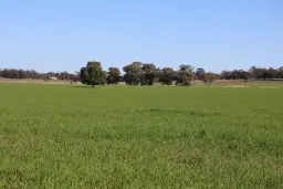 Back Trundle Road, Parkes