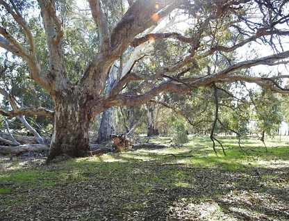 LOT CA 61, Sec A Paynters Road, Violet Town, Wangaratta, 0 ਕਮਰੇ, 0 ਬਾਥਰੂਮ, Lifestyle Property