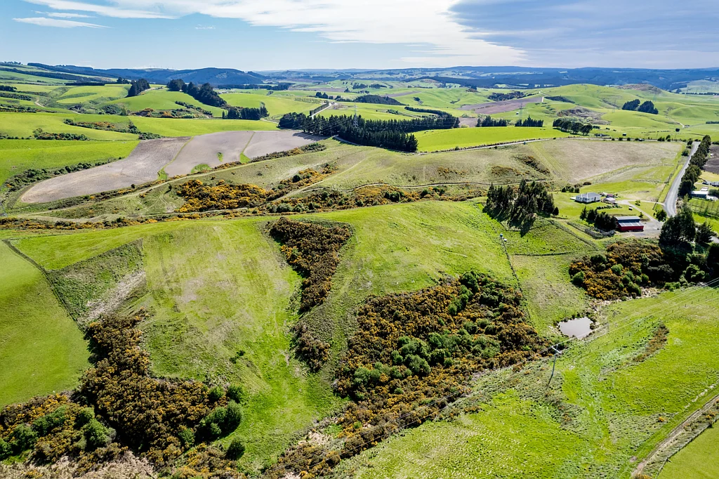 Milton Crichton Road - rural views