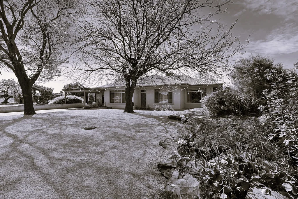 1363 Bookpurnong Road, Loxton, SA 5333