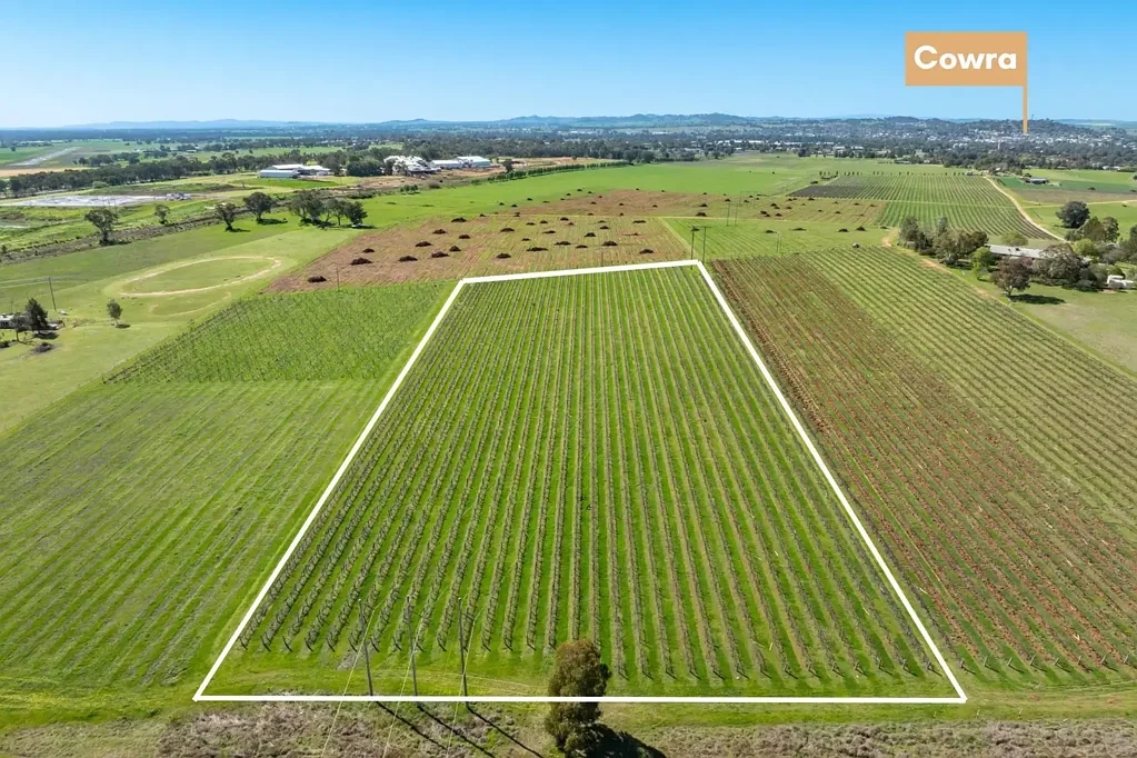 Cowra BUILD YOUR DREAM HERE ON 5ACRES*!