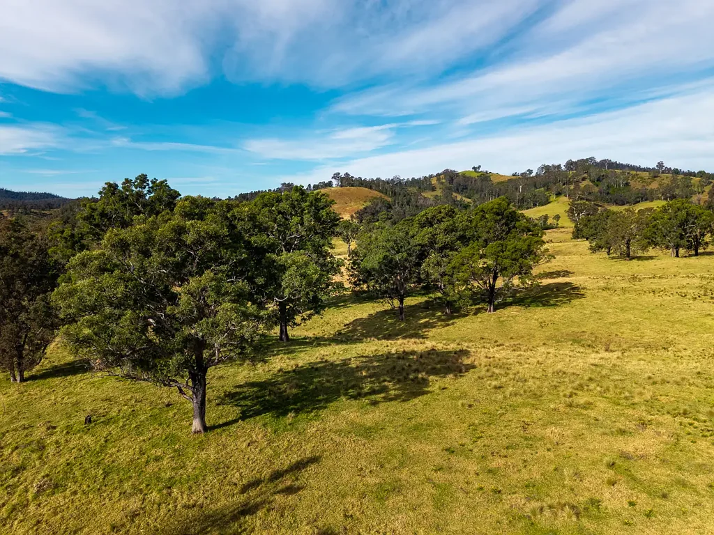 Cobargo  VACANT LAND, COBARGO GRAZING PROPERTY