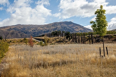 26 Stone Drive, Cromwell, Central Otago, 0 Schlafzimmer, 0 Badezimmer, Section