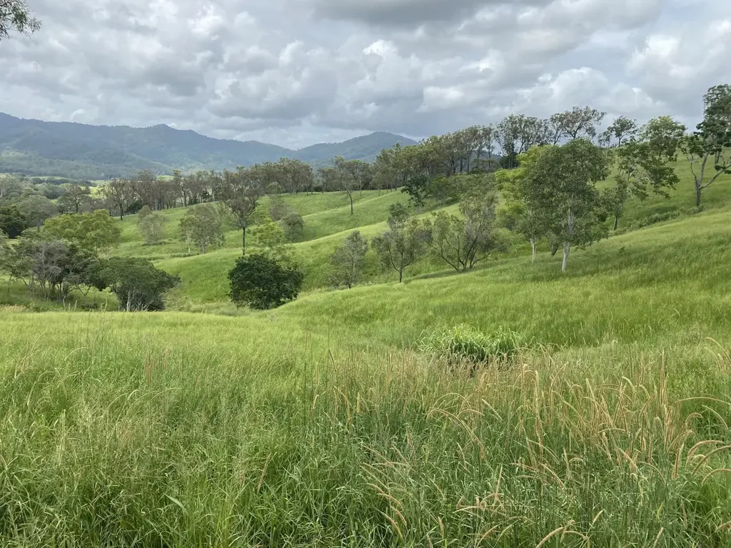 Sarina Quality grazing land with breathtaking views, just minutes from Sarina