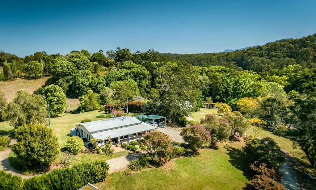 Bellingen 5कमरा Everything you need to live the Bellingen dream.