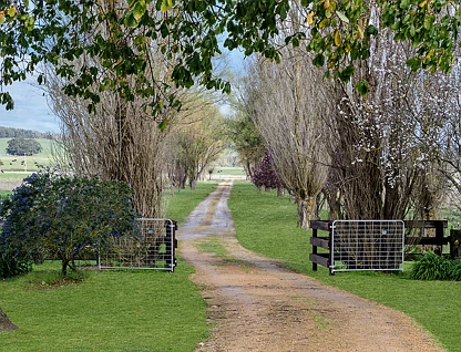 99 Liddles Lane, Drik Drik, Portland and Glenelg Shire, 5 Bedrooms, 2 Bathrooms, Lifestyle Property