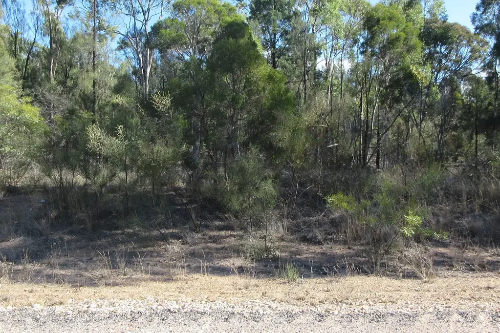 Tara  29.65 acres with bitumen road frontage!