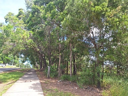 59 High Central Rd, Macleay Island
