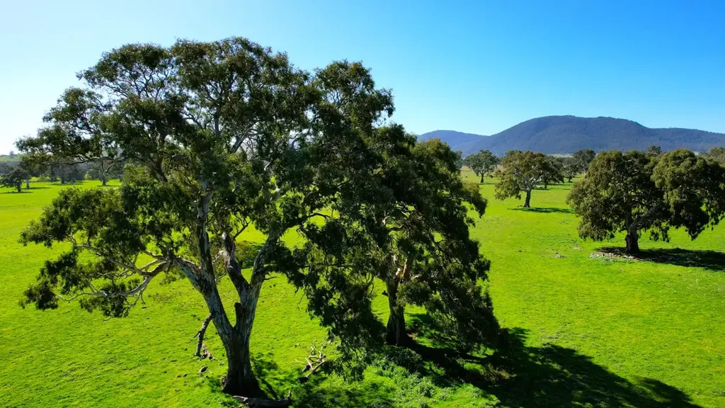 Middle Creek  DELIGHTFUL WESTERN VICTORIA COUNTRY