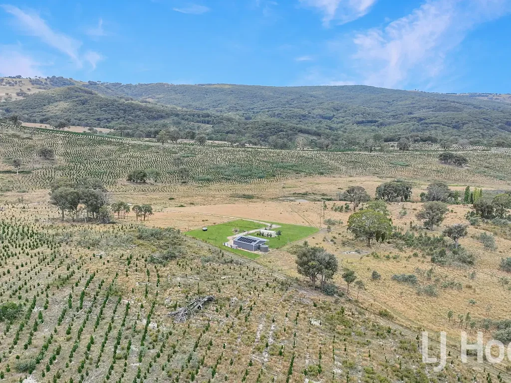 225 Bradene Road, Neville, NSW 2799