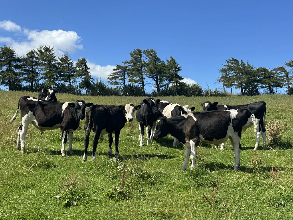 Hedgehope Ideal support grazing unit