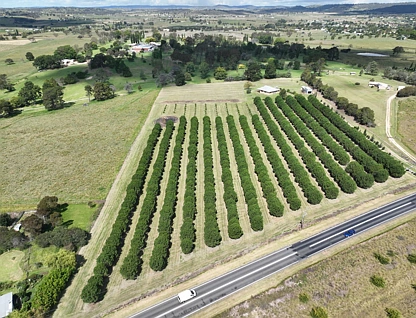 362 New England Highway, Tenterfield, Tamworth, 4 Kuwarto, 2 Banyo, House