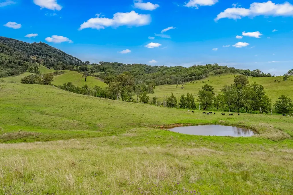 Singleton  94 Acres* (38Ha) at Mt Olive With Dwelling Entitlement & Creek Frontage