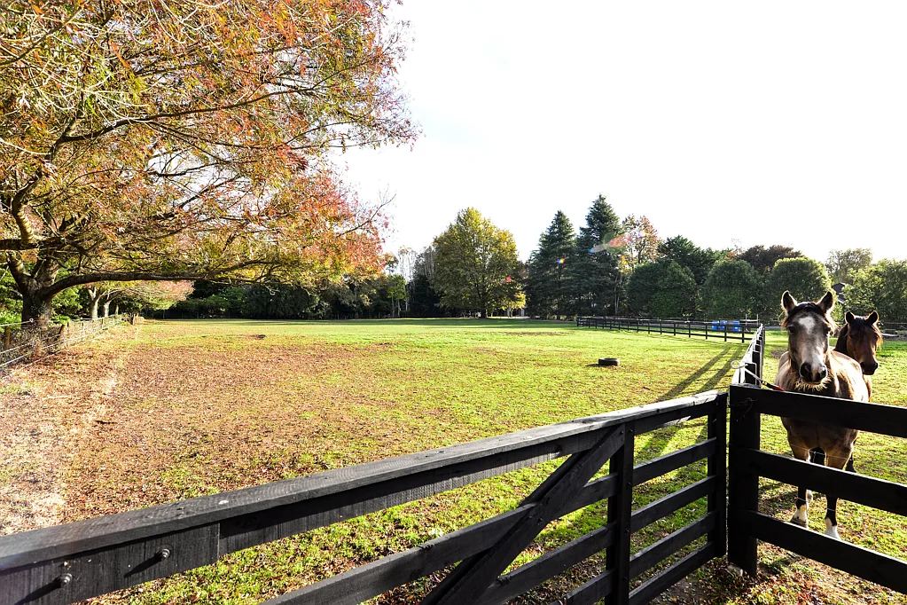 85A Windmill Road, Tamahere, Hamilton, Waikato