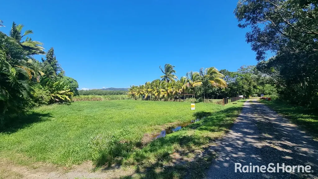 Lower Daintree  Perfect spot for a fisherman's weekender!