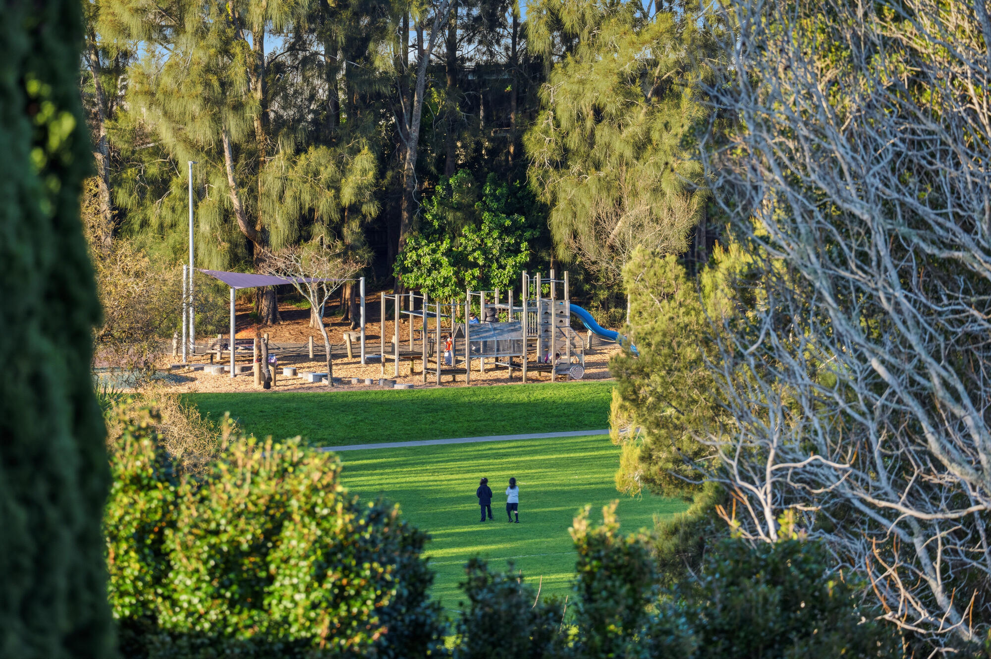 74C Sycamore Drive, Sunnynook, photo 8