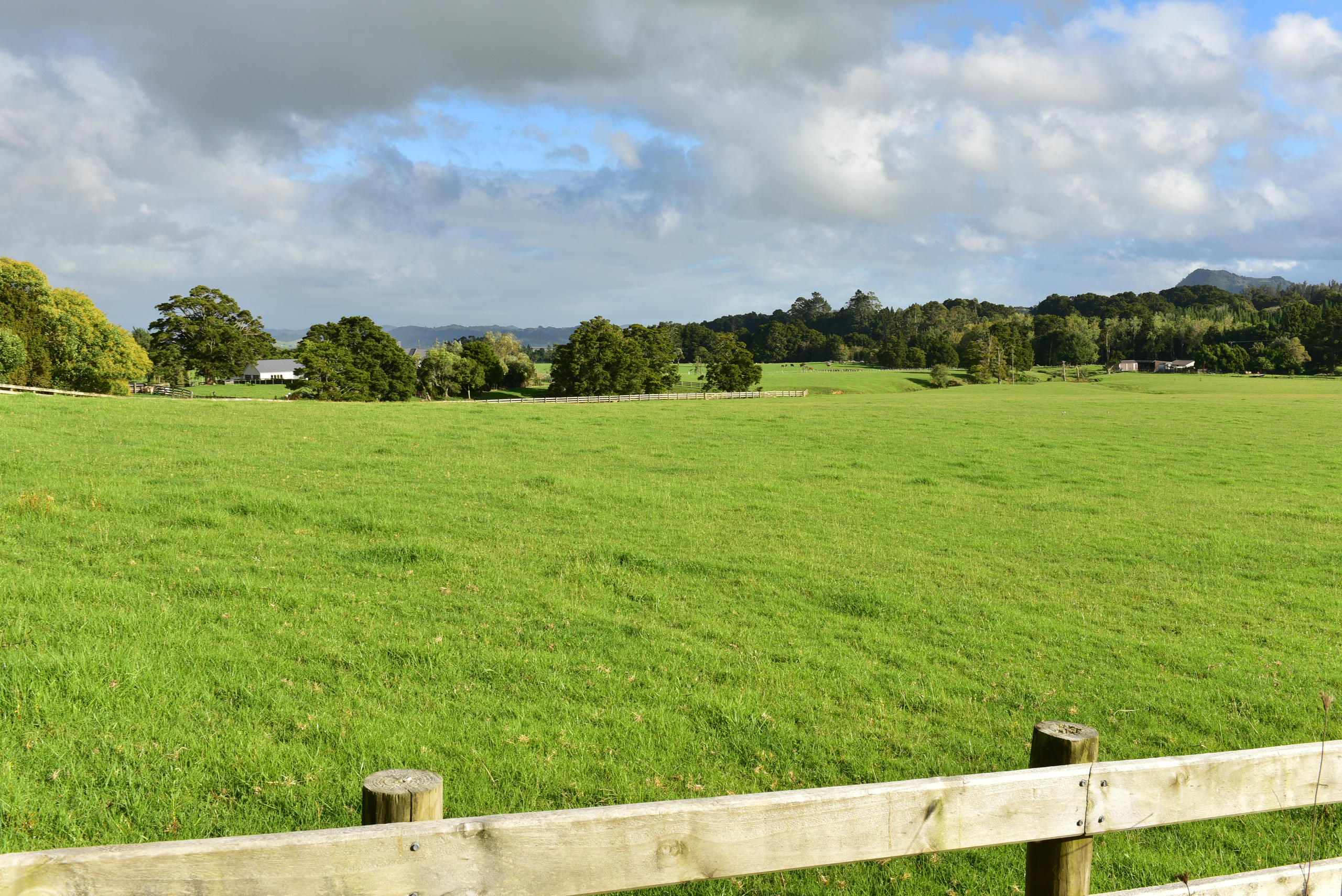 529 Crane Road, Kauri, Whangarei, 0 phòng ngủ, 0 phòng tắm