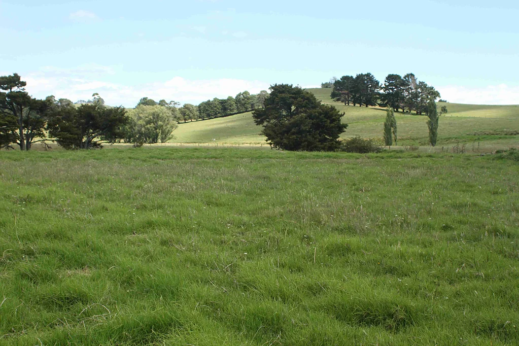 Karikari Peninsula Lifestyle opportunity - Live, Build & Enjoy!
