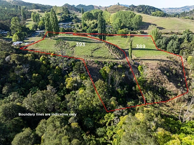 351, 389, 393 French Pass Road, 0 Schlafzimmer, 0 Badezimmer, Lifestyle Section