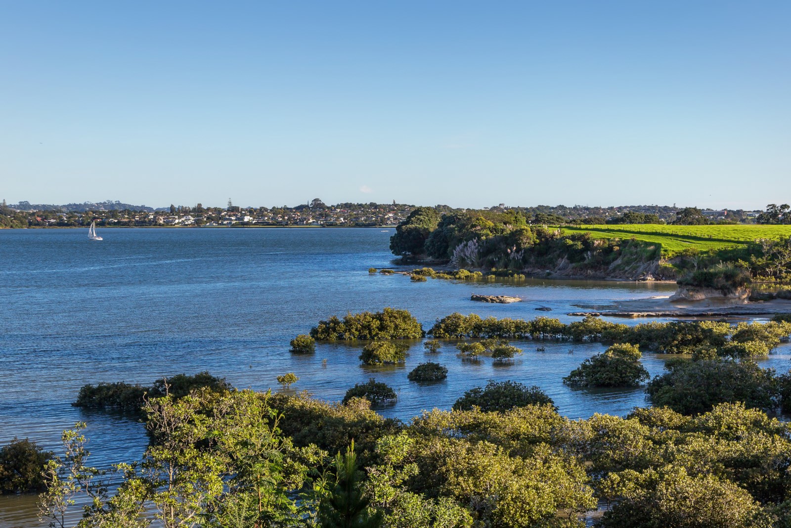 52 Silverton Avenue, Wai O Taiki Bay, Auckland, 3 habitaciones, 0 baños