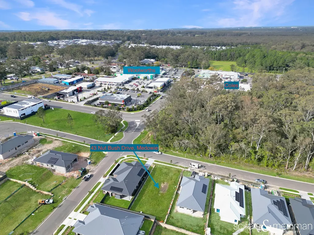 43 Nut Bush Drive, Medowie, NSW 2318