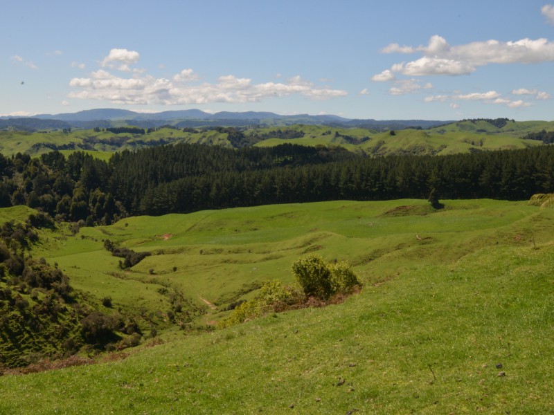 1711 State Highway 4, Aria, Waitomo, 0 ਕਮਰੇ, 0 ਬਾਥਰੂਮ