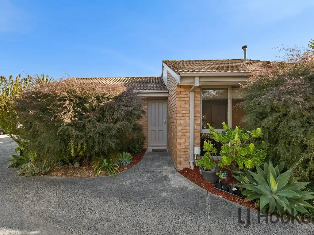 Croydon 2Moenga Fully Renovated & Perfectly Positioned