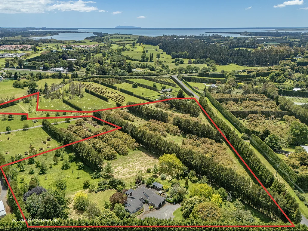 56 Thompsons Track, Aongatete, Western Bay of Plenty, Bay of Plenty