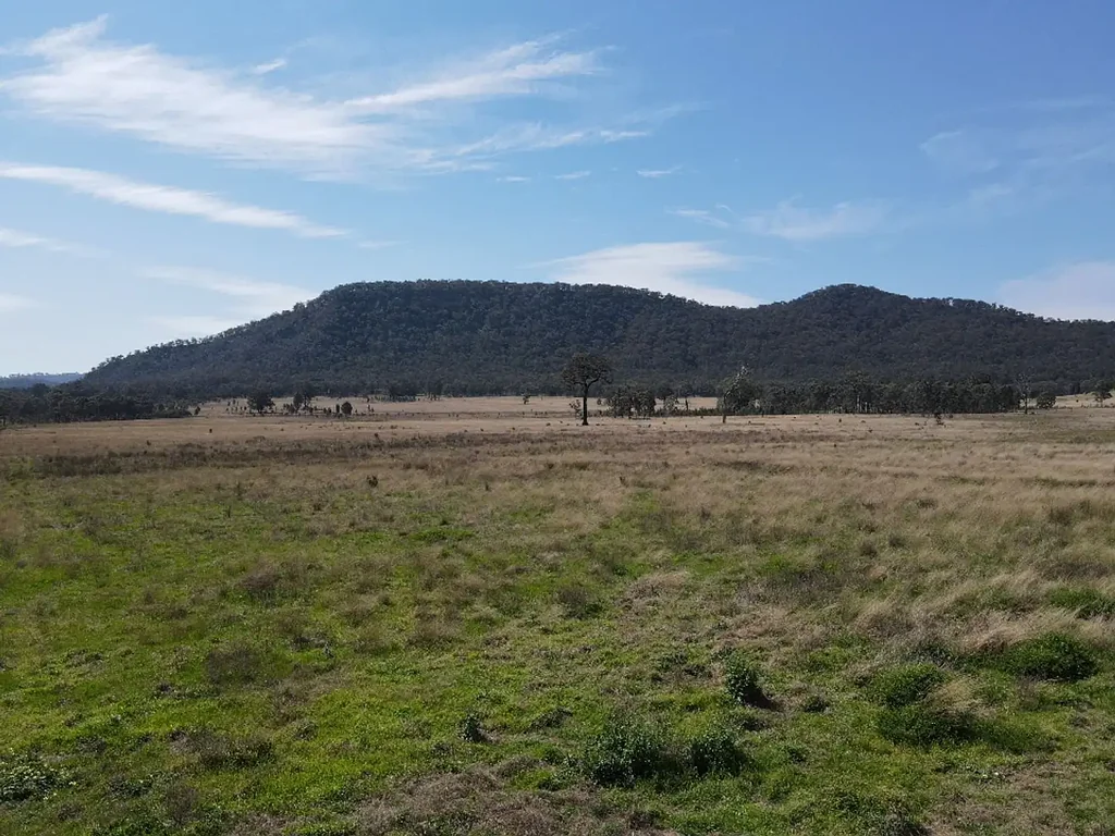 Muswellbrook 56.2 Ha. OPEN GRAZING PADDOCK WITH DAM AND SPRING WATER APPROX
28 KM FROM MUSWELLBROOK