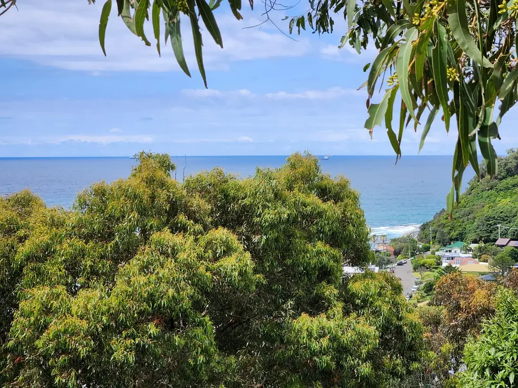 Coalcliff 4Kwarto Architectural Treehouse Overlooking the Ocean - Expressions of Interest This Spring