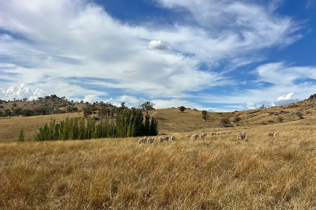 Lot 1 Mount Mcdonald Road, Wyangala, NSW 2808