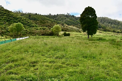 366 Oparara Loop Road, Karamea, Buller, 0房, 0浴, Lifestyle Section