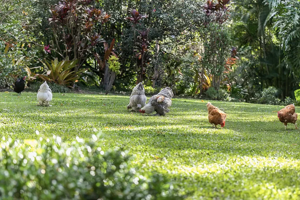 Acreage living minutes to Noosa