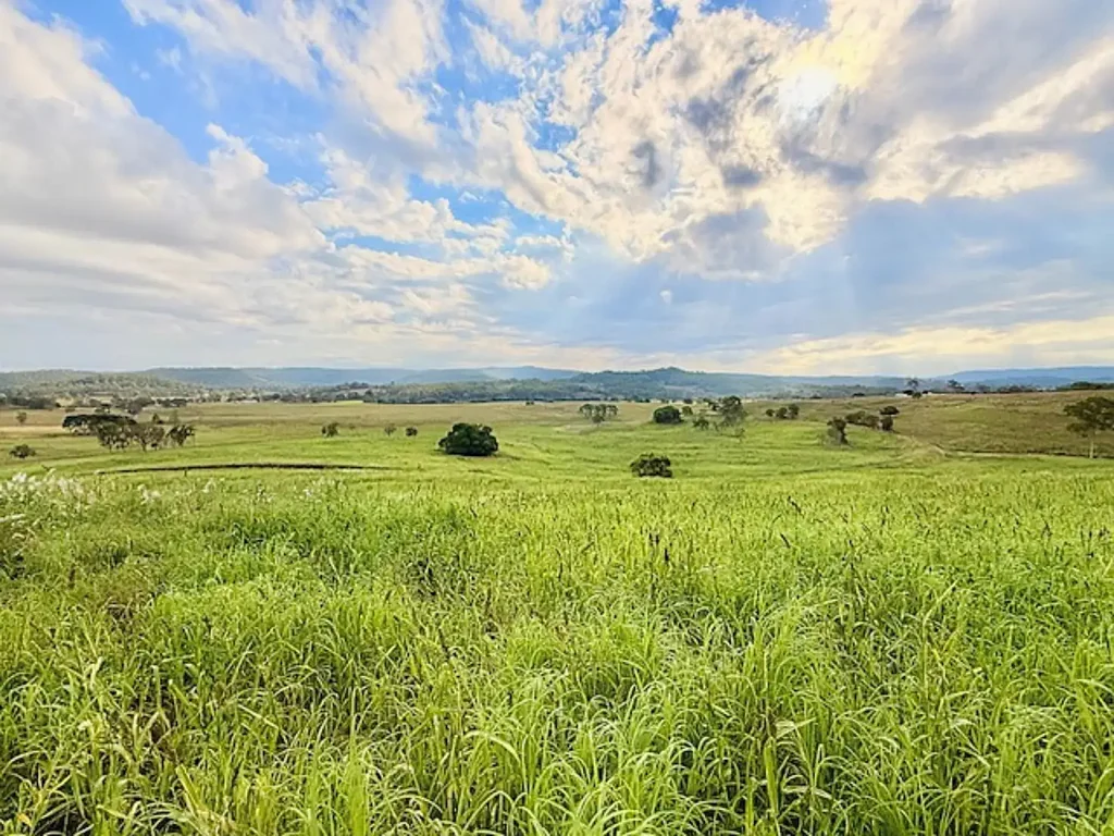 Piora  Prime 100-Acre Grazing Opportunity | 4411 Bruxner Highway, Piora