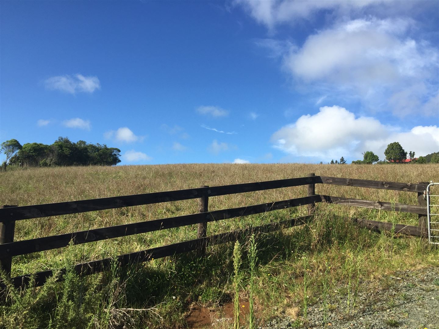 Millington Road, Maunu, Whangarei, 0房, 0浴